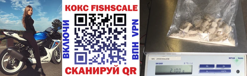 omg вход darknet наркотические препараты Кокаин Fish Scale Кемерово
