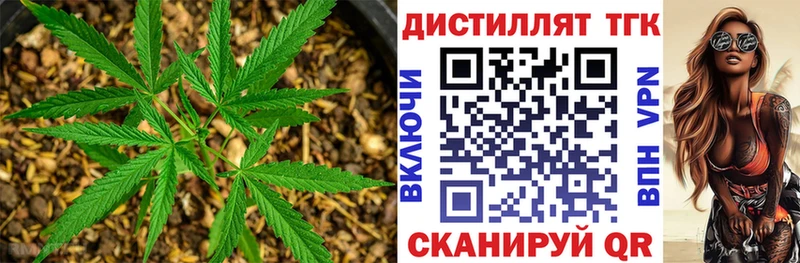 Дистиллят ТГК концентрат  наркотики  гидра ONION  Кемерово 