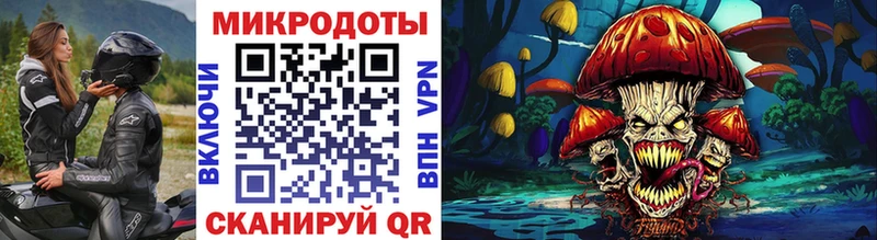 Галлюциногенные грибы Psilocybe  Кемерово 