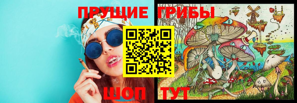 Кемерово  Псилоцибиновые грибы GOLDEN TEACHER  Вход с VPN 